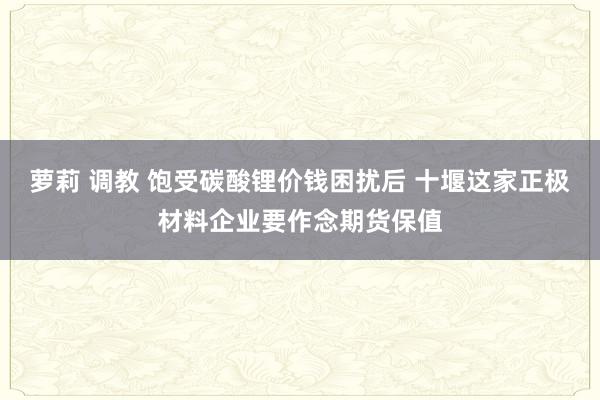 萝莉 调教 饱受碳酸锂价钱困扰后 十堰这家正极材料企业要作念期货保值