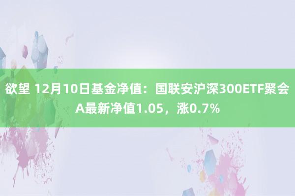 欲望 12月10日基金净值：国联安沪深300ETF聚会A最新净值1.05，涨0.7%