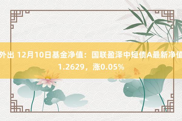 外出 12月10日基金净值：国联盈泽中短债A最新净值1.2629，涨0.05%