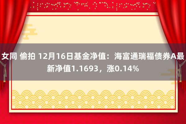 女同 偷拍 12月16日基金净值：海富通瑞福债券A最新净值1.1693，涨0.14%