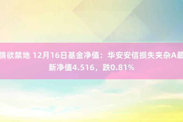 情欲禁地 12月16日基金净值：华安安信损失夹杂A最新净值4.516，跌0.81%