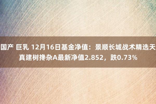 国产 巨乳 12月16日基金净值：景顺长城战术精选天真建树搀杂A最新净值2.852，跌0.73%