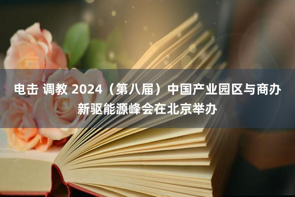 电击 调教 2024（第八届）中国产业园区与商办新驱能源峰会在北京举办