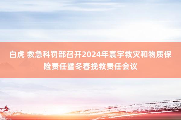 白虎 救急科罚部召开2024年寰宇救灾和物质保险责任暨冬春挽救责任会议