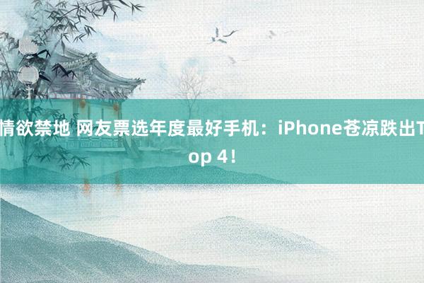 情欲禁地 网友票选年度最好手机：iPhone苍凉跌出Top 4！