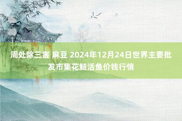 周处除三害 麻豆 2024年12月24日世界主要批发市集花鲢活鱼价钱行情