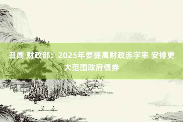 丑闻 财政部：2025年要提高财政赤字率 安排更大范围政府债券