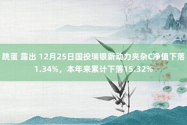 跳蛋 露出 12月25日国投瑞银新动力夹杂C净值下落1.34%，本年来累计下落15.32%