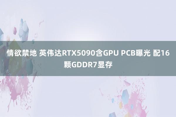 情欲禁地 英伟达RTX5090含GPU PCB曝光 配16颗GDDR7显存