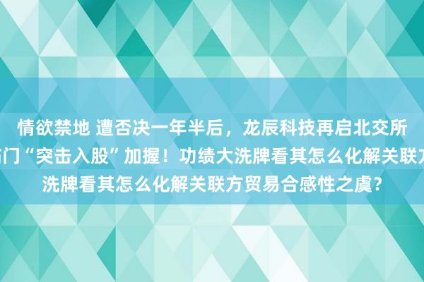 情欲禁地 遭否决一年半后，龙辰科技再启北交所上市路：有名PE临门“突击入股”加握！功绩大洗牌看其怎么化解关联方贸易合感性之虞？