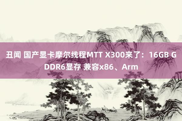 丑闻 国产显卡摩尔线程MTT X300来了：16GB GDDR6显存 兼容x86、Arm