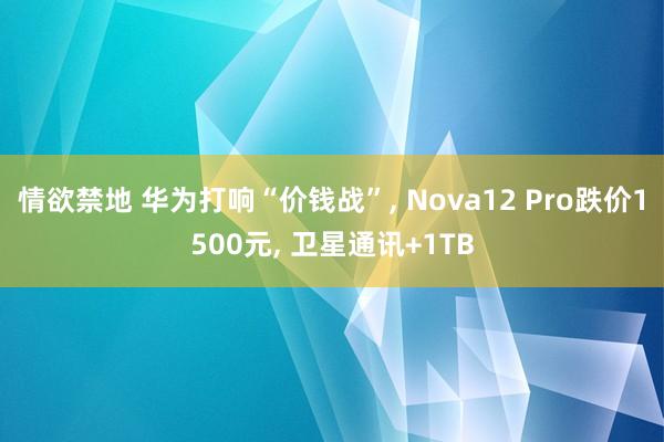 情欲禁地 华为打响“价钱战”， Nova12 Pro跌价1500元， 卫星通讯+1TB