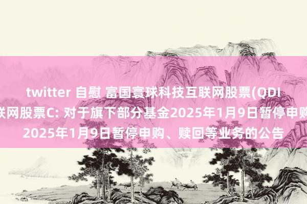 twitter 自慰 富国寰球科技互联网股票(QDII)A，富国寰球科技互联网股票C: 对于旗下部分基金2025年1月9日暂停申购、赎回等业务的公告