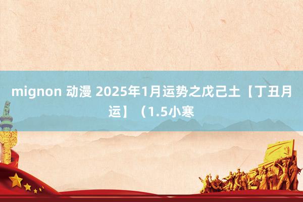 mignon 动漫 2025年1月运势之戊己土【丁丑月运】（1.5小寒