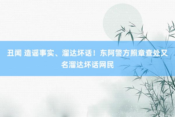 丑闻 造谣事实、溜达坏话！东阿警方照章查处又名溜达坏话网民