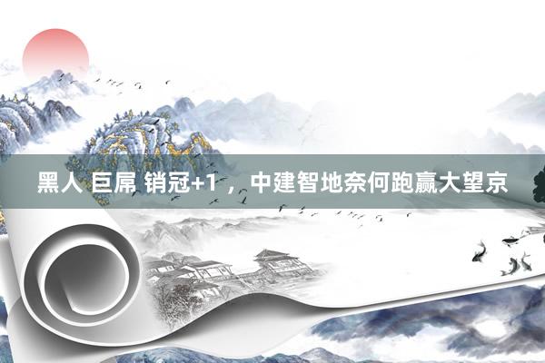 黑人 巨屌 销冠+1 ，中建智地奈何跑赢大望京