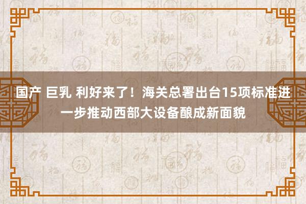 国产 巨乳 利好来了！海关总署出台15项标准进一步推动西部大设备酿成新面貌