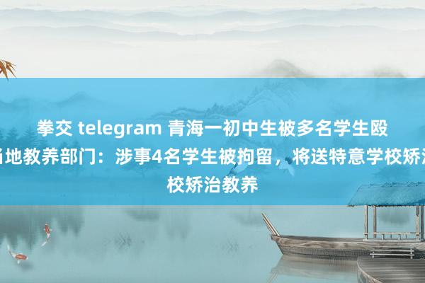 拳交 telegram 青海一初中生被多名学生殴打，当地教养部门：涉事4名学生被拘留，将送特意学校矫治教养