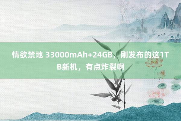 情欲禁地 33000mAh+24GB，刚发布的这1TB新机，有点炸裂啊