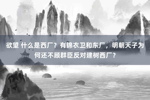 欲望 什么是西厂？有锦衣卫和东厂，明朝天子为何还不顾群臣反对建树西厂？