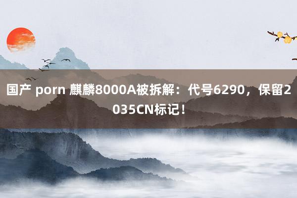 国产 porn 麒麟8000A被拆解：代号6290，保留2035CN标记！