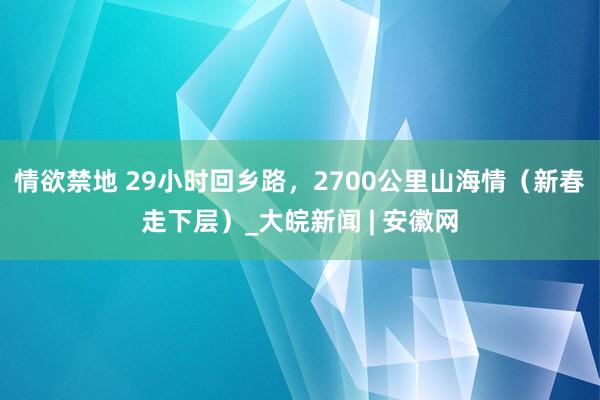 情欲禁地 29小时回乡路，2700公里山海情（新春走下层）_大皖新闻 | 安徽网